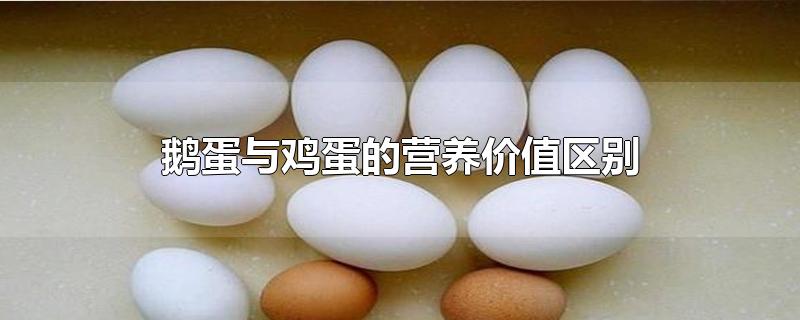 鹅蛋与鸡蛋的营养价值区别