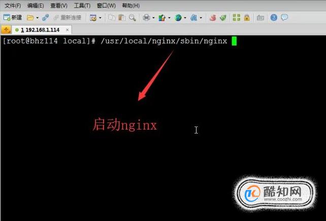 如何在Linux系统中安装Nginx服务器