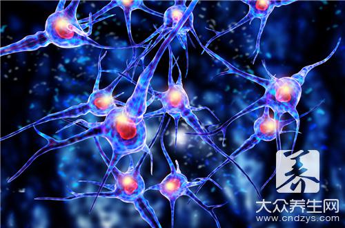  神经胶质细胞的主要功能