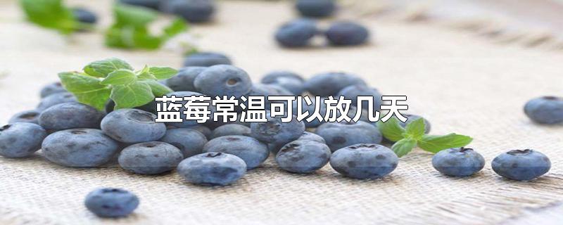 蓝莓常温可以放几天