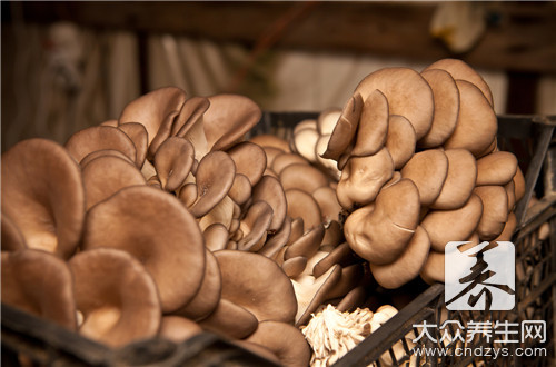 新鲜蘑菇怎么洗最好呢？