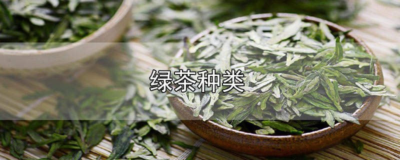 绿茶种类