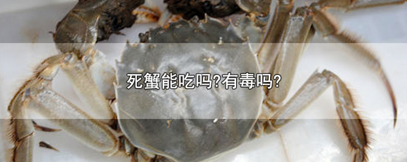 死蟹能吃吗?有毒吗?