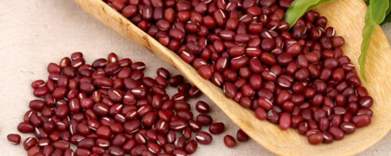 长期吃红豆的害处