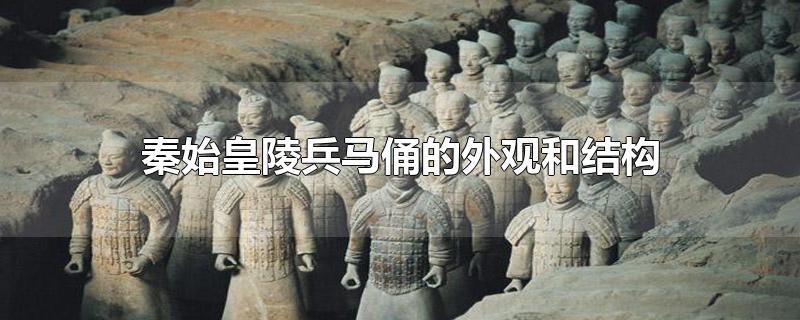 秦始皇陵兵马俑的外观和结构