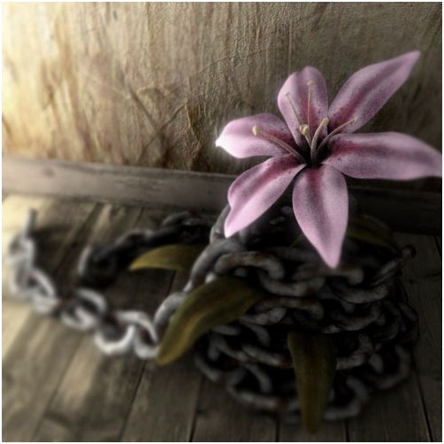 用3DSMAX渲染一支被铁链束缚的粉色花朵