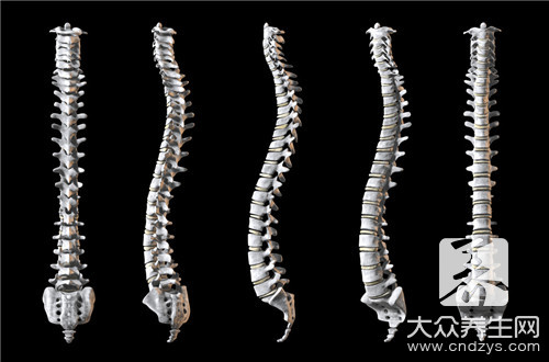 肩胛骨中间的脊椎疼是怎么回事