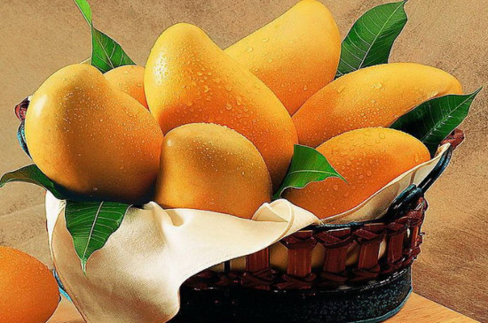 芒果和甜瓜能不能一起吃