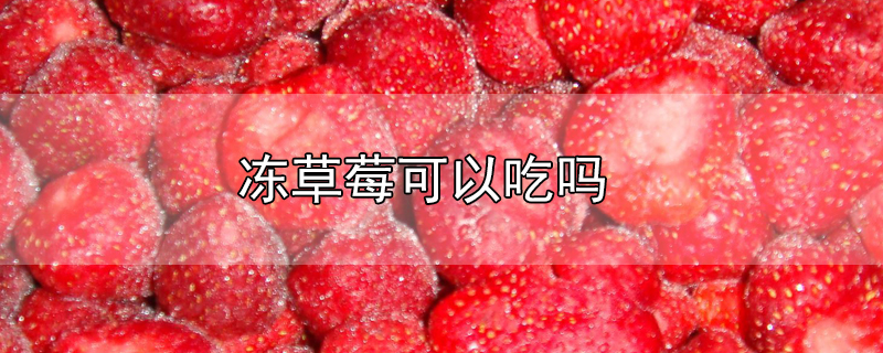 冻草莓可以吃吗