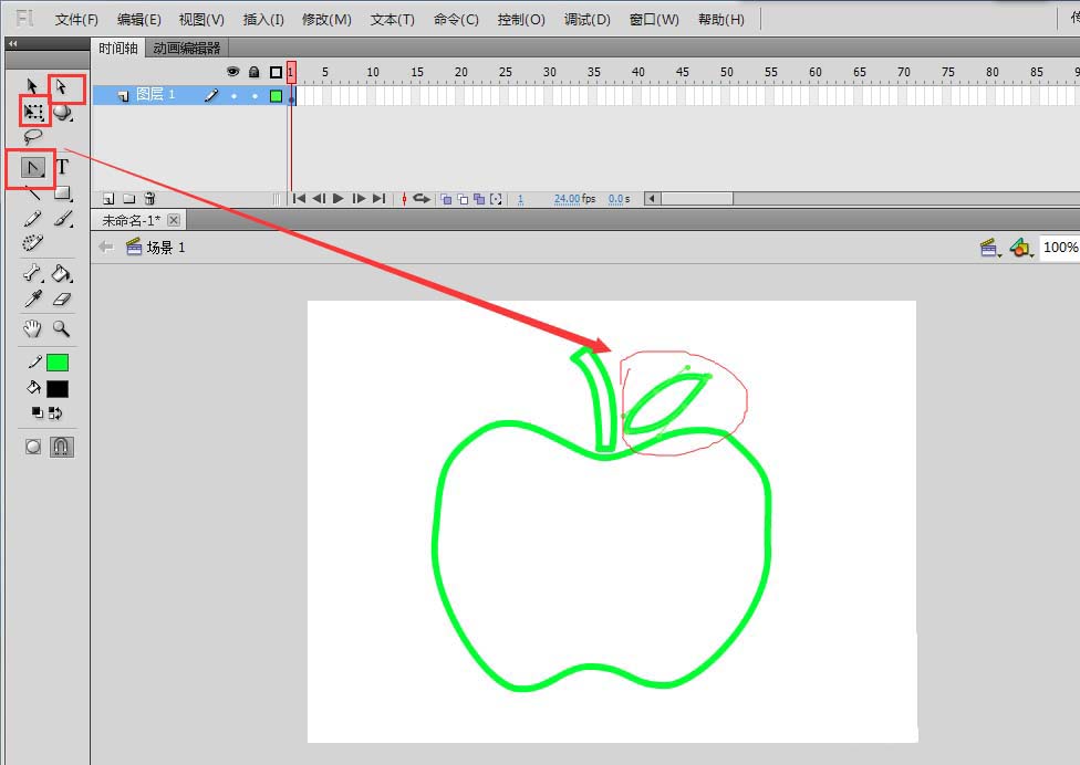 flash怎么手绘苹果? flash苹果的画法
