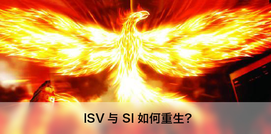 只有移动开发者才能拯救传统ISV、SI企业？