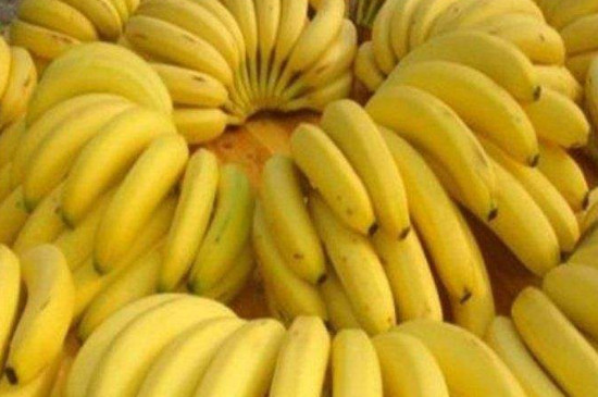 香蕉为什么是弯的