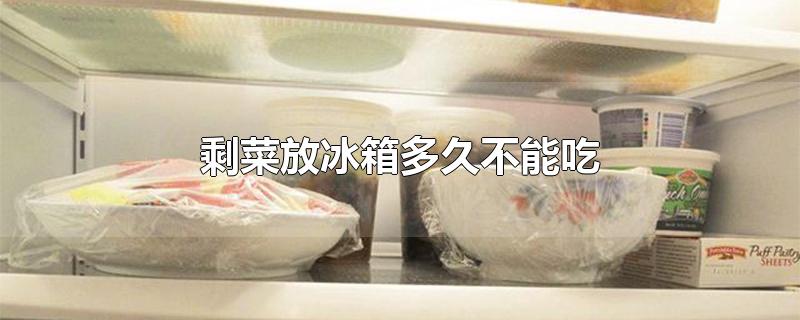剩菜放冰箱多久不能吃