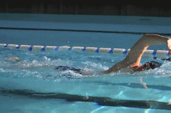自由泳的专业训练动作