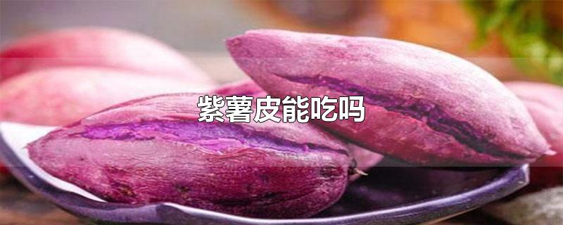 紫薯皮能吃吗