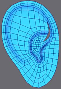 3ds Max建模教程：多边形耳朵