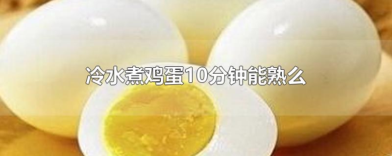 冷水煮鸡蛋10分钟能熟么