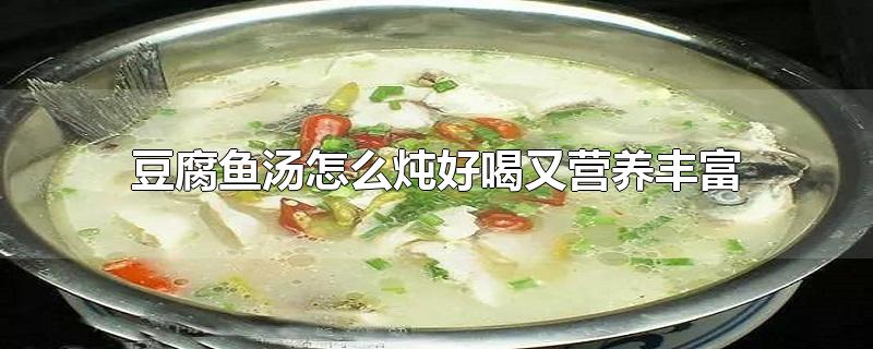豆腐鱼汤怎么炖好喝又营养丰富