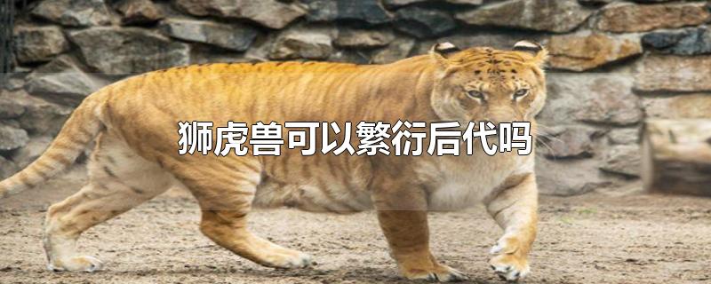 狮虎兽可以繁衍后代吗