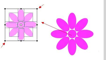 Flash cs6怎么画漂亮的花朵矢量图?