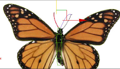 3D max制作蝴蝶舞动的GIF动画效果