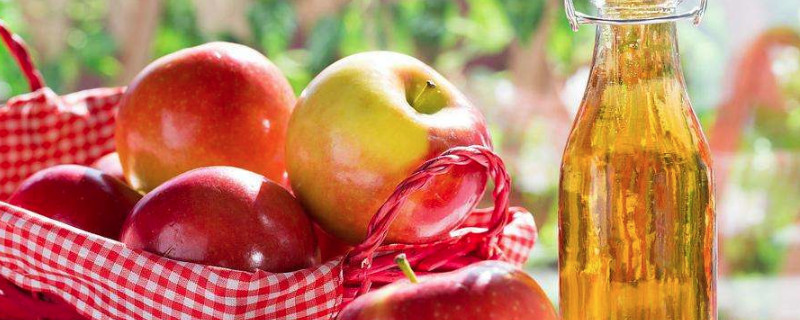 苹果醋可以和西红柿一起吃吗