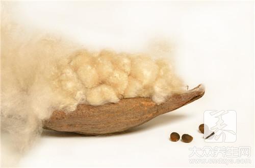  石棉纤维对人体的危害