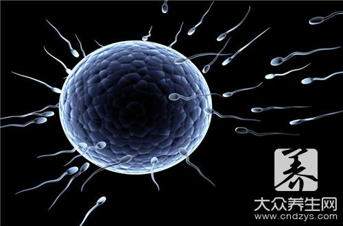 精子卵子结合有什么症状
