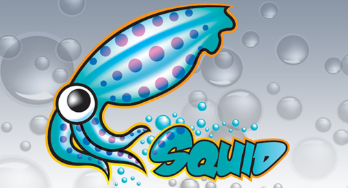 关于linux中Squid代理服务器的10个实用面试问答