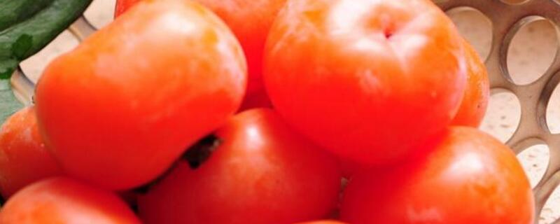 晚上吃柿子有什么危害
