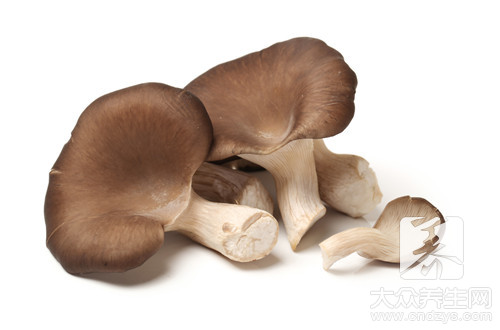 新鲜蘑菇怎么洗最好呢？