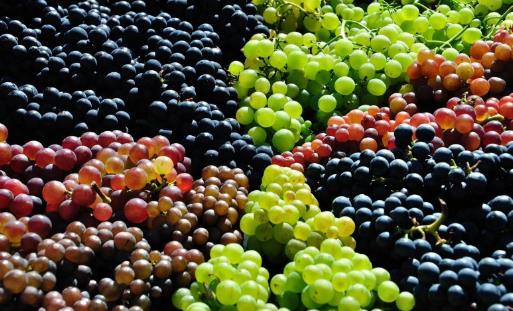 葡萄长时间保存有诀窍 葡萄的功效与营养价值大揭秘