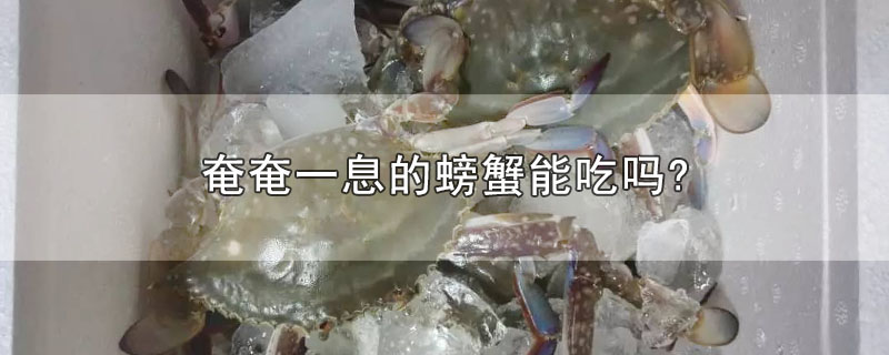 奄奄一息的螃蟹能吃吗?