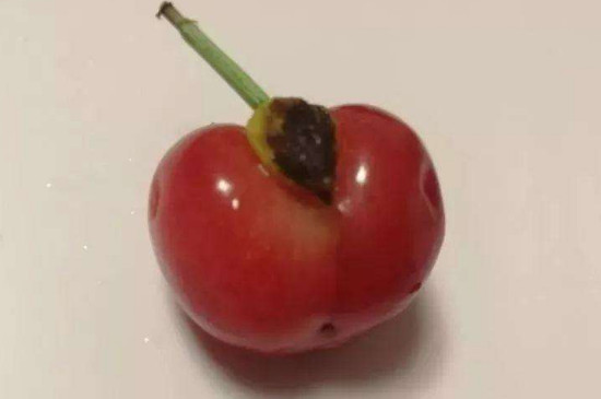 樱桃上有个小疙瘩还能吃吗