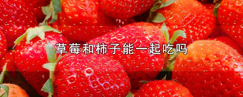 草莓和柿子能一起吃吗