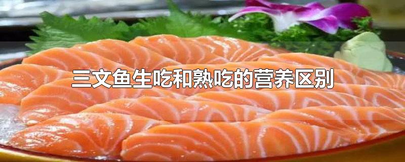 三文鱼生吃和熟吃的营养区别