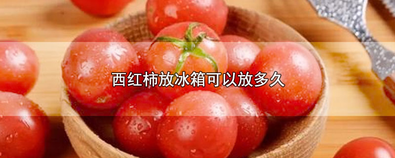 西红柿放冰箱可以放多久