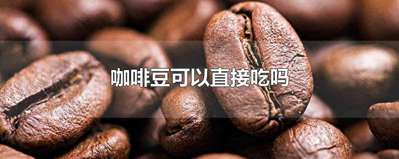 咖啡豆可以直接吃吗