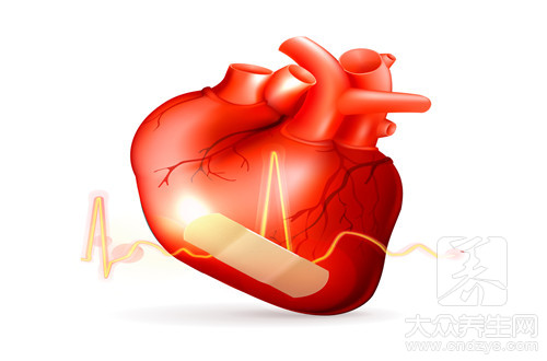 心脏瓣膜的功能