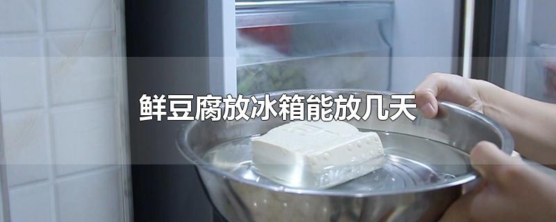 鲜豆腐放冰箱能放几天