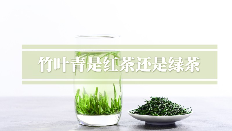 竹叶青是红茶还是绿茶