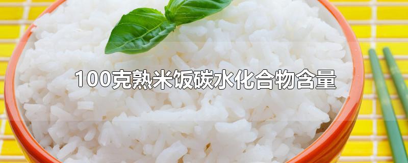 100克熟米饭碳水化合物含量