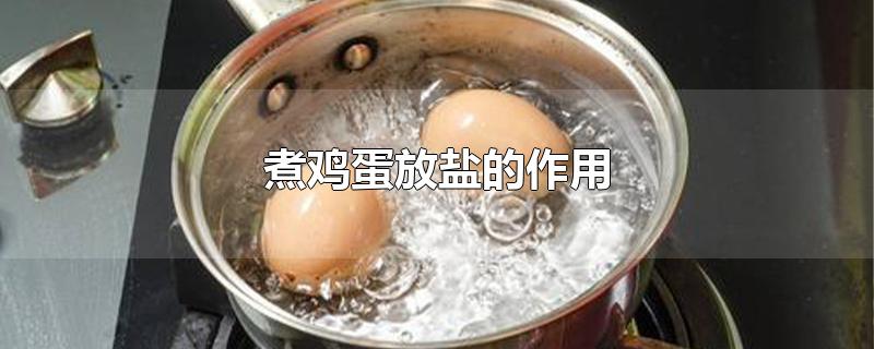 煮鸡蛋放盐的作用
