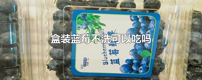 盒装蓝莓不洗可以吃吗