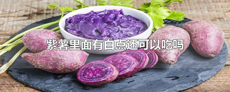 紫薯里面有白点还可以吃吗