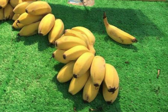 榴莲可以和香蕉一起吃吗