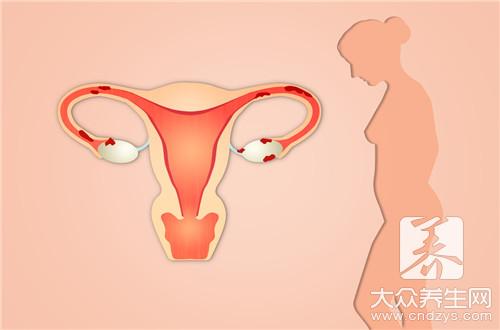 保养子宫和卵巢吃什么