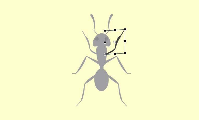 Flash怎么制作爬动的蚂蚁动画?