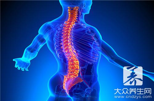脊椎和脊柱有什么区别呢？