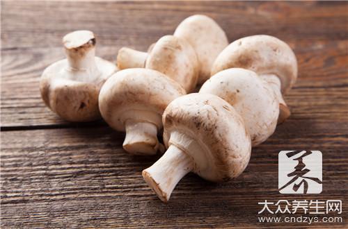 红蘑菇含有毒素吗？功效和作用是什么？